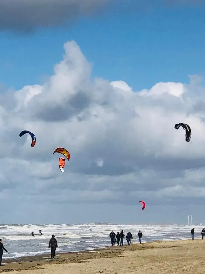 Beachfront No 6 In Zandvoort 2 Pers Apartment Netherlands